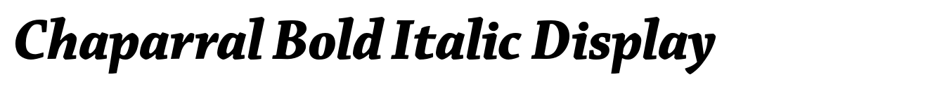 Chaparral Bold Italic Display image